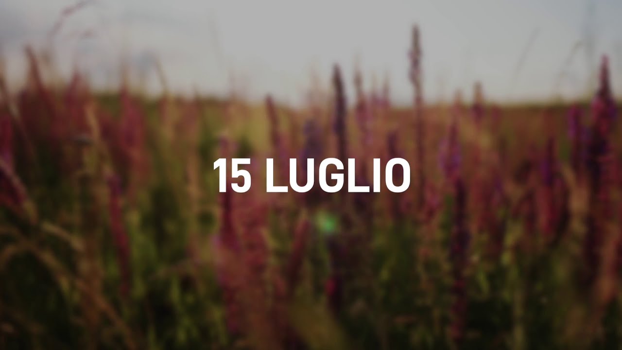 15 Luglio 2025 | Meditazione Parole di Vita