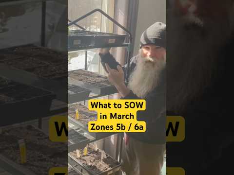 March Indoor Sowing Guide: Zone 5b/6a & Unheated Shelters