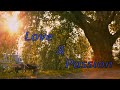 Blue Is The Warmest Color Love Passion