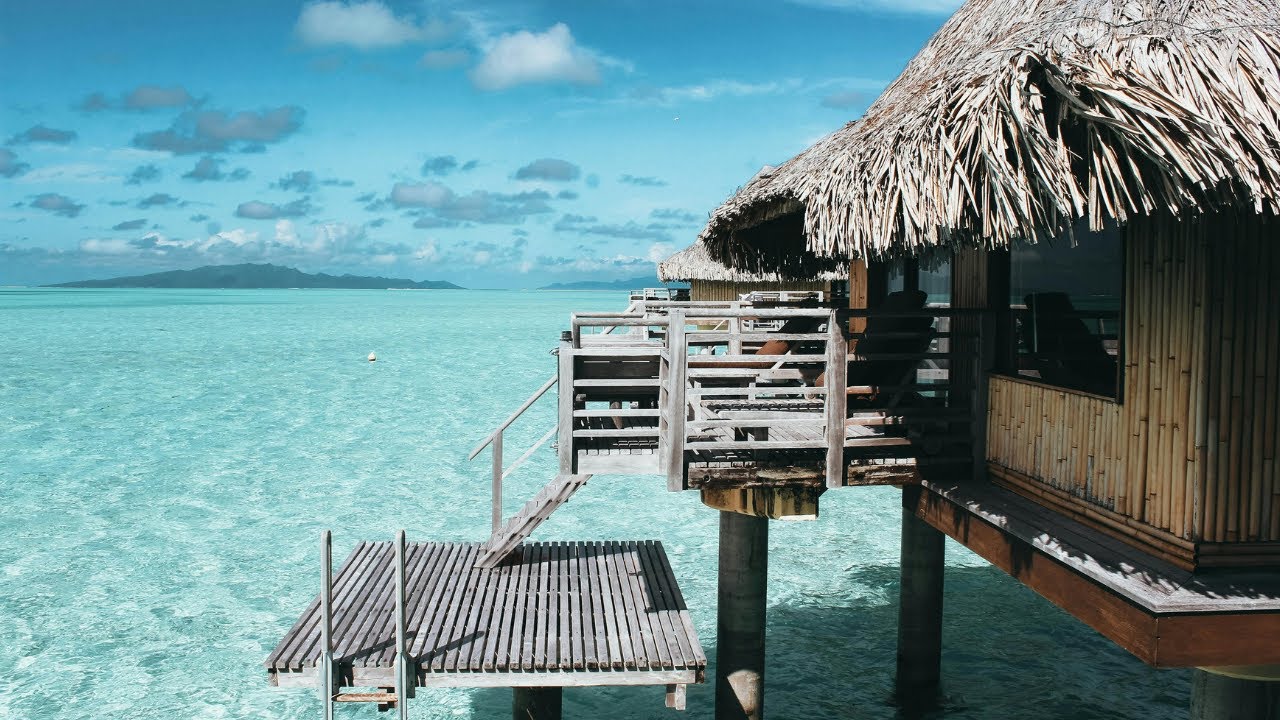 Serene Ocean Views | Tropical Beaches & Coastal Cliffs with Relaxing Music