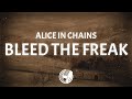 Alice In Chains Bleed The Freak Lyrics