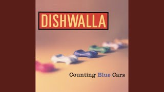 Counting Blue Cars