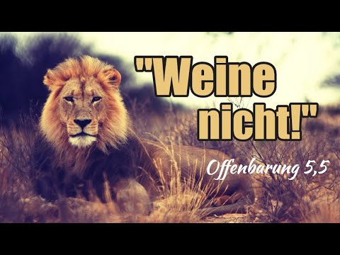 "Weine nicht!" (Offenbarung 5,4.5)