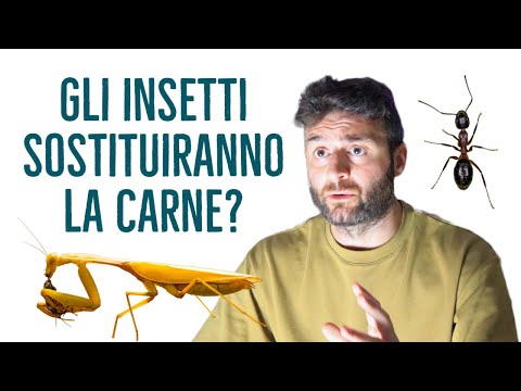 Sono gli Insetti il cibo del futuro?