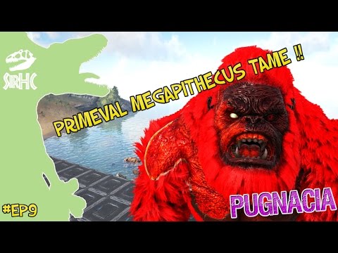 PRIMEVAL MEGAPITHECUS TAME !! - EP9 - DANSK ARK PUGNACIA MODDED