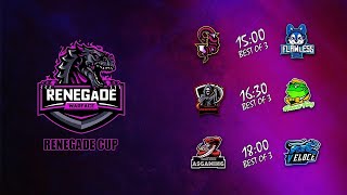 Renegade Cup. Jeycix - Flawless. 1/8 finals.