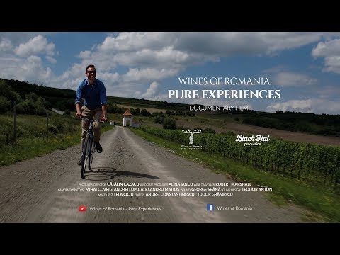 Vinhos da Romênia - Experiências Puras
