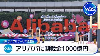 EU「アリババ」に制裁金1000億円 　模倣品や安全性に問題がある玩具・化粧品など販売【WBS】