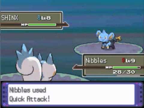 Pachirisu Only Run - Route 203 Trainers