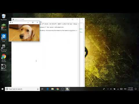 Images In Python Using Tkinter