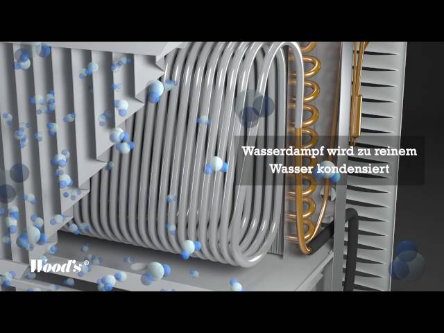 Video Teaser für 3D Wood`s DS Version (Deutsch)