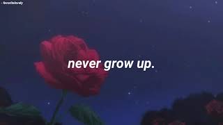 Taylor Swift - Never Grow Up (Traducida al Español)