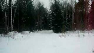 preview picture of video 'Lesosibirsk - skate ski'