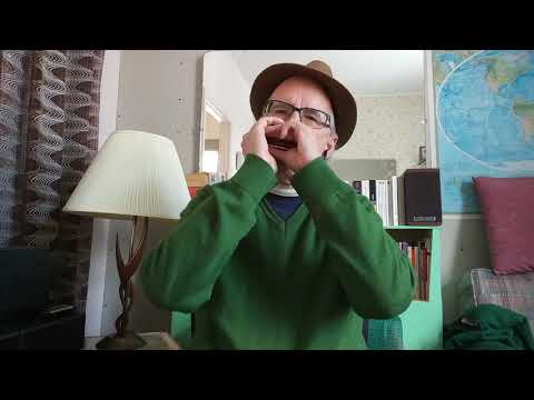 Macnamaras Band - Traditional Irish