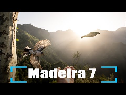 ZIELFOTO Challenge Madeira - Tag 7