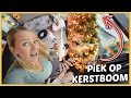 ER MOET ECHT EEN PiEK OP ONZE 3M HOGE KERSTBOOM, MAAR HOE?! ? | Bellinga Vlog #2300