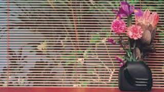 Dave Stewart - You’re Lost (slowed)