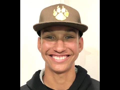 Vector go brrrrrrrrrr