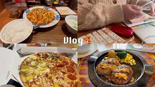 【vlog】ぱんだの日常🐣｜食の記録｜ピザ｜ハンバーグ｜麻婆豆腐｜お買い物