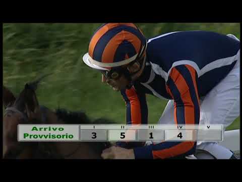 2019-11-28 Corsa 1 Metri 1200 Premio Gutruns