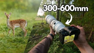 Relaxing POV Nature Photography | Birds & Wildlife Encounters