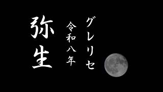 Dead by Daylight【実況#290】2026.March グレードリセット直後にやってく回