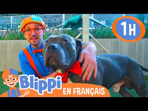 Blippi Visite Un Refuge d’Animaux | @BlippiFrancais | Vidéo Éducative