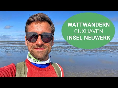 Wattwanderung zur Insel Neuwerk ab Cuxhaven - Per Schiff, zu Fuß oder Wattwagen durch die Nordsee