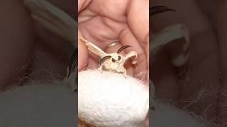 Music video thumbnail preview for Homoactivity by Silkworm