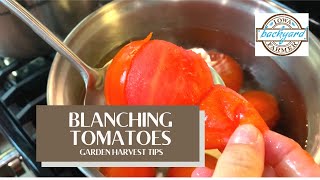 Blanching Tomatoes the Easy Way