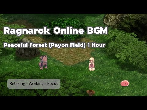 Ragnarok Online BGM | Peaceful Forest (Payon Field) - 1 Hour Relaxing