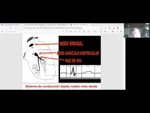 AF1 Clase 5 Dr Burke 27 04 22 Aparato Circulatorio
