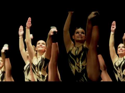 TSC Schwarz-Gold Frankfurt e.V.