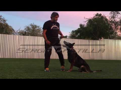 sergio castilla basico