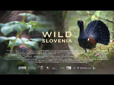 WILD SLOVENIA - trailer / DIVJA SLOVENIJA - napovednik