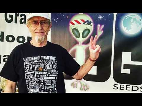 BOG Seeds Grape Punch seed to harvest