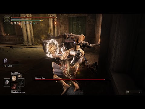 Reminding Godskin Duo how they lost to a beast (bonus: Primeval Sorceries)