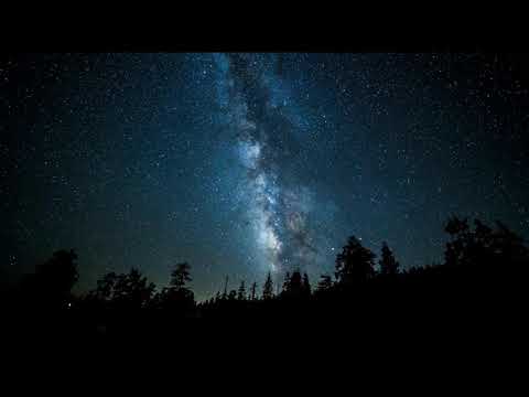 Cricket Sounds with a Starry Sky 🦗🌙 Relaxing and for Sleep • RELAXING Nature Sounds