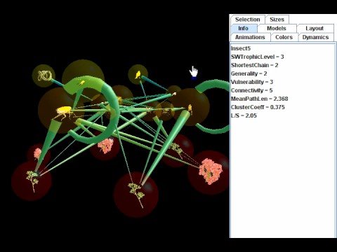 Food webs: Visualizing and Understanding Interdependence in Nature