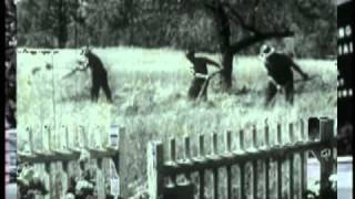 Cat Stevens: I Want to live in a Wigwam ~ w/ vIDeo and Lyrics