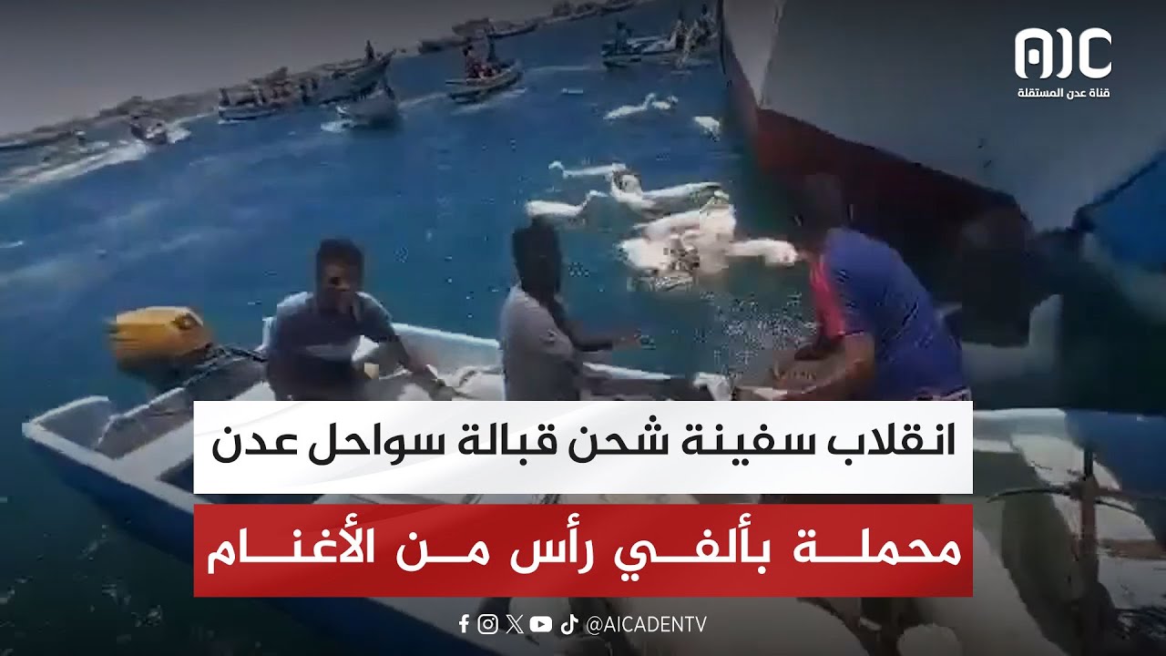 انقلاب سفينة شحن قبالة سواحل عدن محملة بألفي رأس من الأغنام