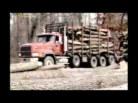 Následky přelidnění -dokument cz (www.Dokumenty.TV)