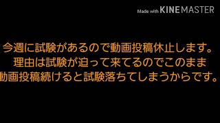 お知らせです。今後の予定について