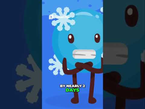 Echinacea  Top 10 Benefits For Immunity & Health #herbalmedicine #alternativemedicine