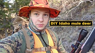 DIY Idaho mule deer hunt  |  Unit 39 - 2023