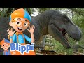 Blippi Explores The Dinosaur Natural History Museum Educational Videos For Kids Blippi Wonders