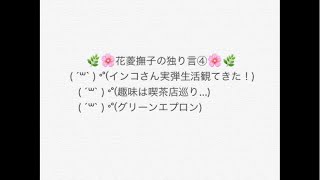 花菱撫子の独り言④