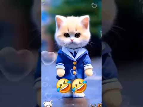 Smart cat dance #0106 ,#, #viral #ajit