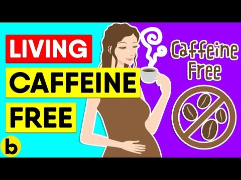 download lagu mp3 mp4 Caffeine Free Tea List, download lagu Caffeine Free Tea List gratis, unduh video klip Caffeine Free Tea List