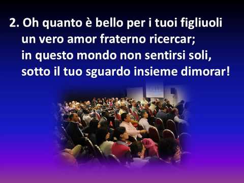 193  CON GRANDE GIOIA